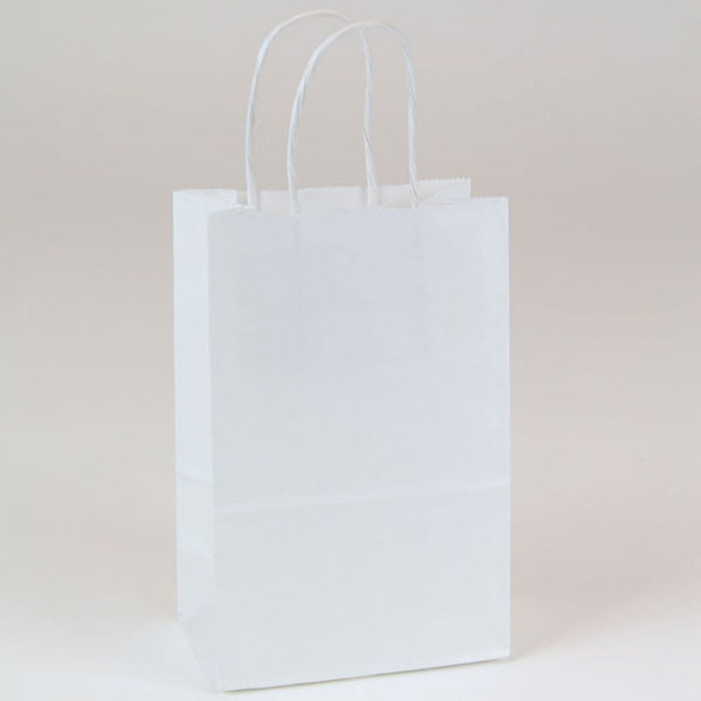 Paper Bags in Bulk
